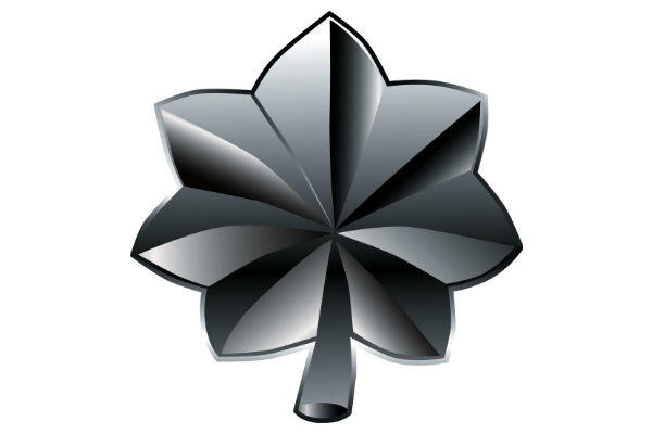 Air Force Lieutenant Colonel insignia