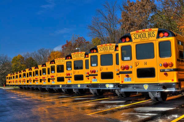 Row of school buses.