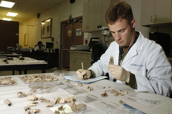 Cmdr. Kevin Torske, U.S. Navy, a senior forensic odontologist, catalogs the dental remains of a possible service member at the Joint POW/MIA Accounting Command headquarters at Hickam Air Force Base, Hawaii. (Source: U.S. Defense Department)