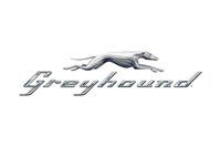 Greyhound