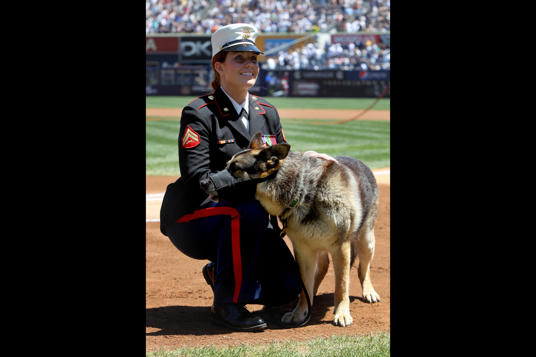 Honors For Iraq Vet K 9 Portrayed In Film Megan Leavey Military Com