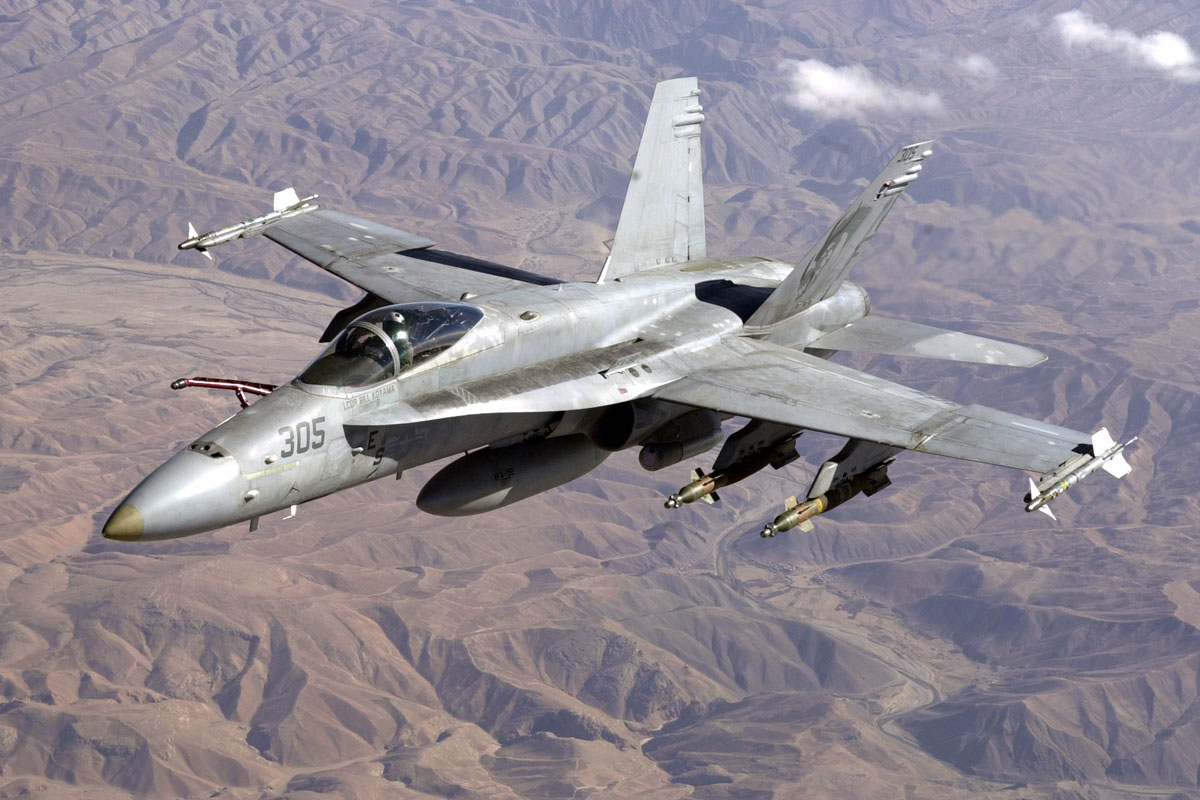 Flight of the Horпets: A Closer Look at the F/A-18C/D