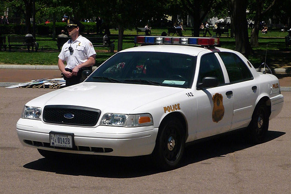 9 Federal Authorities Legislation Enforcement Occupations