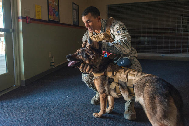 U.S. Air Force Senior Airman Dante Tost, 355th Security Forces Squadron military working dog handler, poses for a photograph with his MWD, Darius, at Davis-Monthan Air Force Base, Ariz., Jan. 4, 2018.  (U.S. Air Force/Michael X. Beyer)