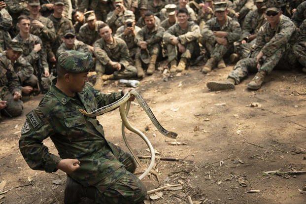 U.S. Marines watch as Royal Thai Marine instructor shows off a snake during Cobra Gold 19 at Ban Chan Krem, Kingdom of Thailand, Feb. 14, 2019. (Mary Calkin/U.S. Army)