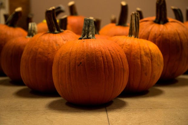 Pumpkins sit in a batch during the annual Fall Festival, October 31, 2018, at Altus AFB, Okla. (U.S. Air Force photo/Jackson Haddon)