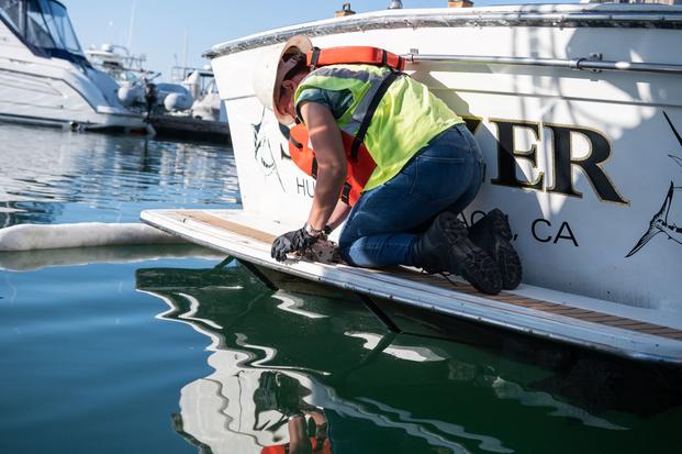 A cleanup crew decontaminates an oiled boat at Huntington Harbour in California.