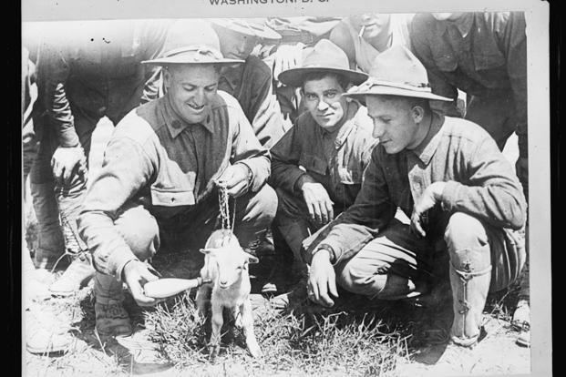New York National Guard soldiers of the 27th Division training at Camp Wadsworth, South Carolina, feed their company mascot in 1917.