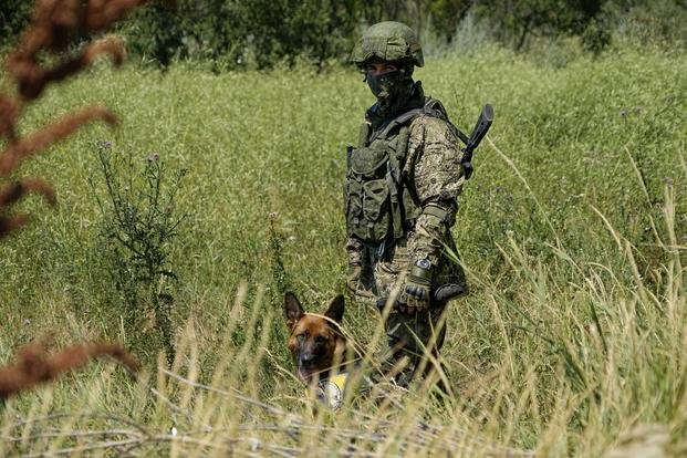 Russian mine clearing expert with a dog works to find and defuse mines