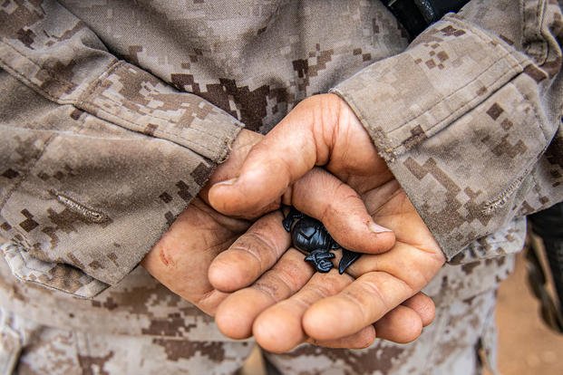 Marine Corps recruit holds his newly earned Eagle, Globe, and Anchor