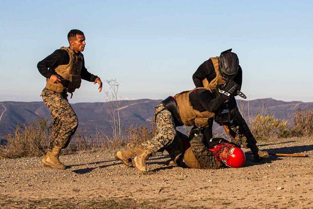 Marines marital arts training at Marine Corps Base Camp Pendleton.