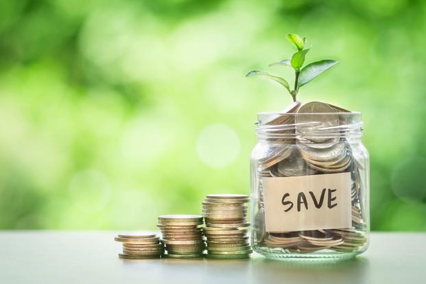 Plant growing in coins glass jar for money saving investment