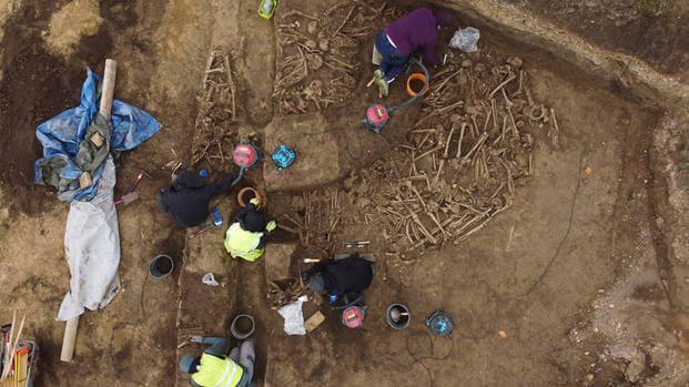Roman mass grave from the end of the 1st century AD, in Vienna