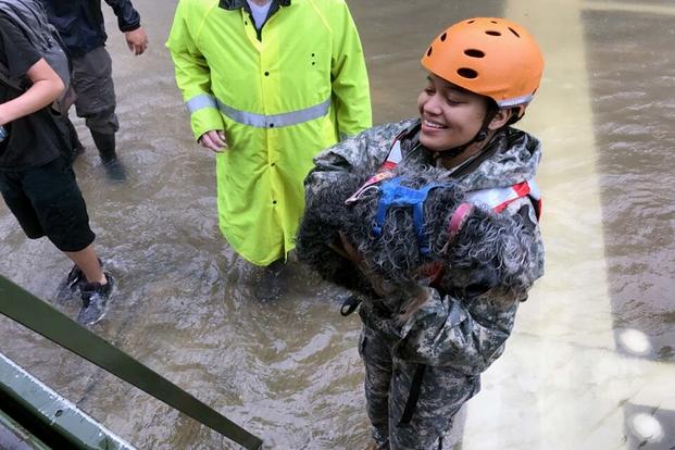 A U.S. Soldier with the Texas Army National Guard rescues a family's pet as floodwaters from Hurricane Harvey continue to rise, Monday, August 28, 2017, Houston, Texas. (U.S. Army photo by 1st Lt. Zachary West)