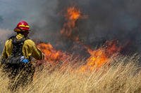 firefighter with the Camp Pendleton Fire Department ignites vegetation