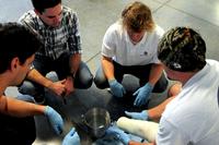 Members of a Quality of Life Plus team at California Polytechnic State University.