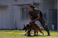 U.S. Marine Corps Lance Cpl. Angela Cardone and military working dog