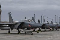 F-15C Eagle fighter jets at Tyndall Air Force Base
