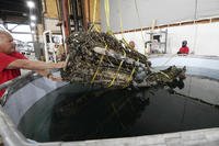 1,200-pound mussel-encrusted engine from a P-39 World War II-era fighter plane