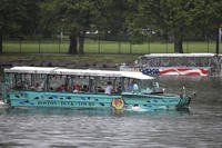Duck boats make their way along the Charles River