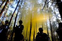In a forest, a yellow haze surrounds silhouetted medical badge candidates.
