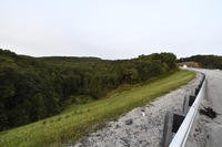 Trees stand in wooded areas alongside Interstate 75 near Livingston, Ky.