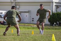 U.S. Marines Corps Sgt. Barry Newhart conducts agility drills during the High Intensity Tactical Training (HITT) Small Unit Leaders course at Gunners’ Gym on Camp Foster, Okinawa, Japan.