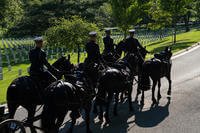 Caisson's reintegration into funeral services in Arlington National Ceremony