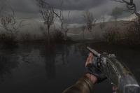 walking through a swamp in STALKER Shadow of Chernobyl