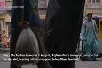 Desperate Afghans Try to Cross into Iran