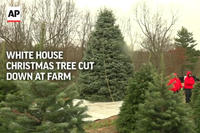 White House Christmas Tree Cut Down at Farm