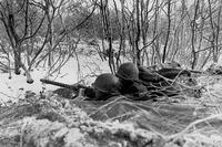 An American roadblock is set up with a 30-caliber heavy machine gun, and a tank destroyer is ready for action on Adolph Hitler Straase during the Battle of the Bulge. 1st Battalion, 157th Regiment, 45th Division (10 Dec 1944). Army Signal Corps Photo