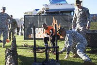 Ray Duffy, a massage therapist student from Oceanside, Calif., challenges himself at the Army Reserve challenge flanked by drill sergeants, from 2nd Battalion, 413th Regiment, 95th Training Division (U.S. Army photo)