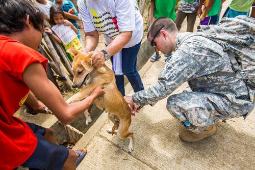 U.S. Army Capt. Andrew Armstrong, veterinarian, Public Health District Japan, gives a dog a dose of rabies vaccination in Puerto Princesa, Philippines.